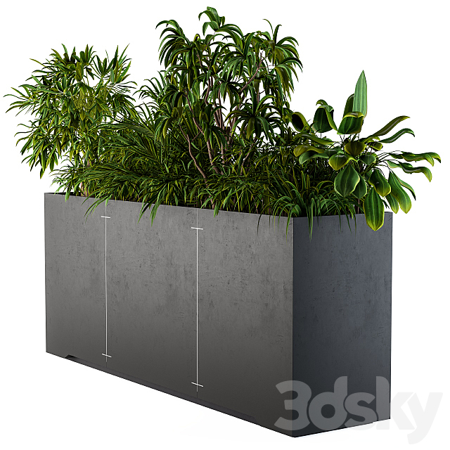 Interior Plant Box 3DSMax File - thumbnail 4