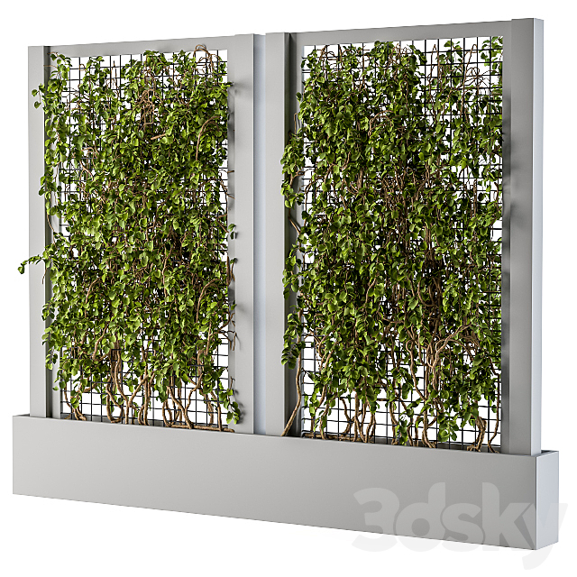 ivy Box Plants Gray 3ds Max - thumbnail 1