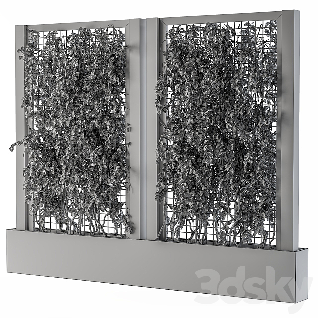 ivy Box Plants Gray 3ds Max - thumbnail 3