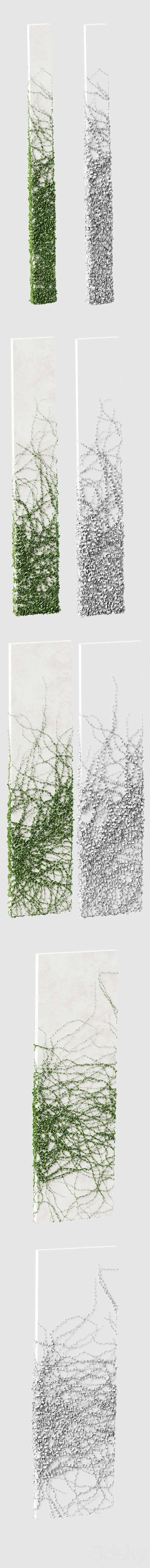 Ivy for rectangular columns. 4 models 3DS Max Model - thumbnail 2