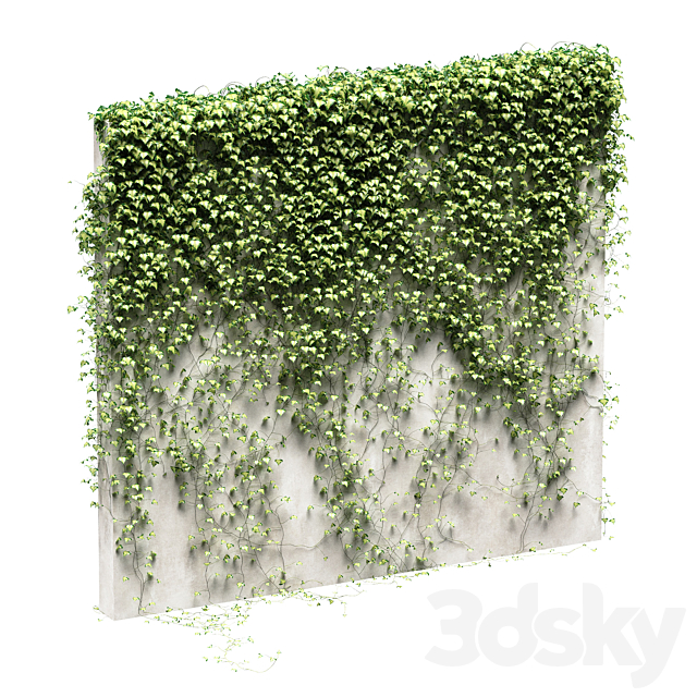 Ivy for the fence v3 3DSMax File - thumbnail 1