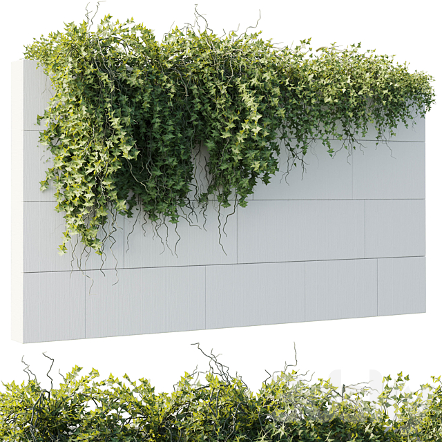 ivy hanging from the wall – outdoor plants set 173 3DS Max Model - thumbnail 2