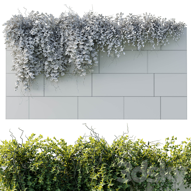 ivy hanging from the wall – outdoor plants set 173 3DS Max Model - thumbnail 4