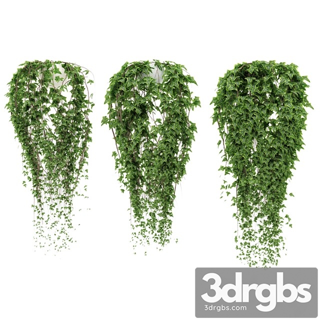 Ivy in Pot 3dsmax Download - thumbnail 1