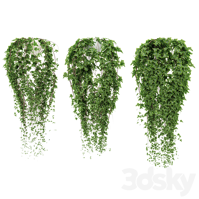 Ivy in pot 3DSMax File - thumbnail 1