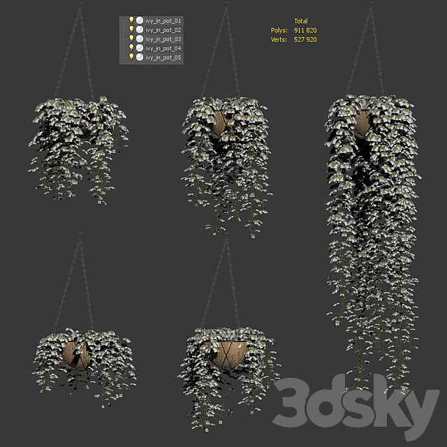 Ivy in pots. 5 models 3DS Max Model - thumbnail 3