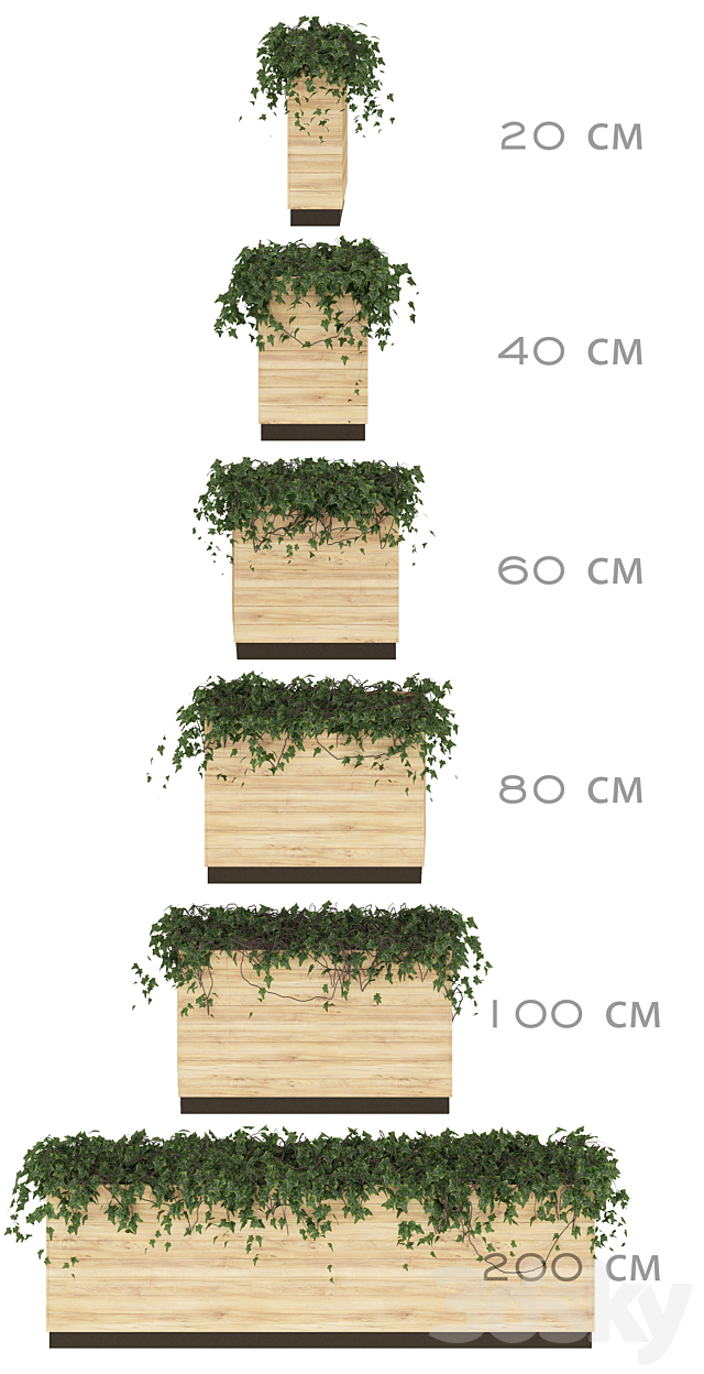 Ivy in pots. 6 Models 3DSMax File - thumbnail 2