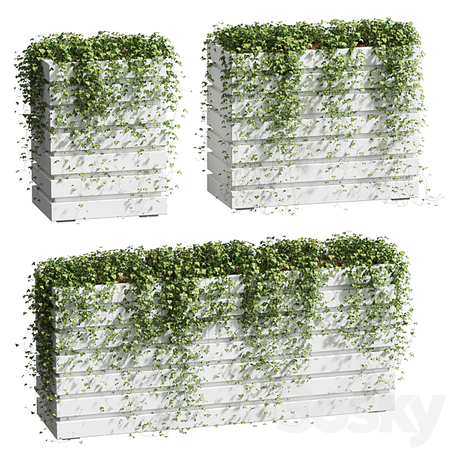 Ivy in tubs. 3 models 3DSMax File - thumbnail 1