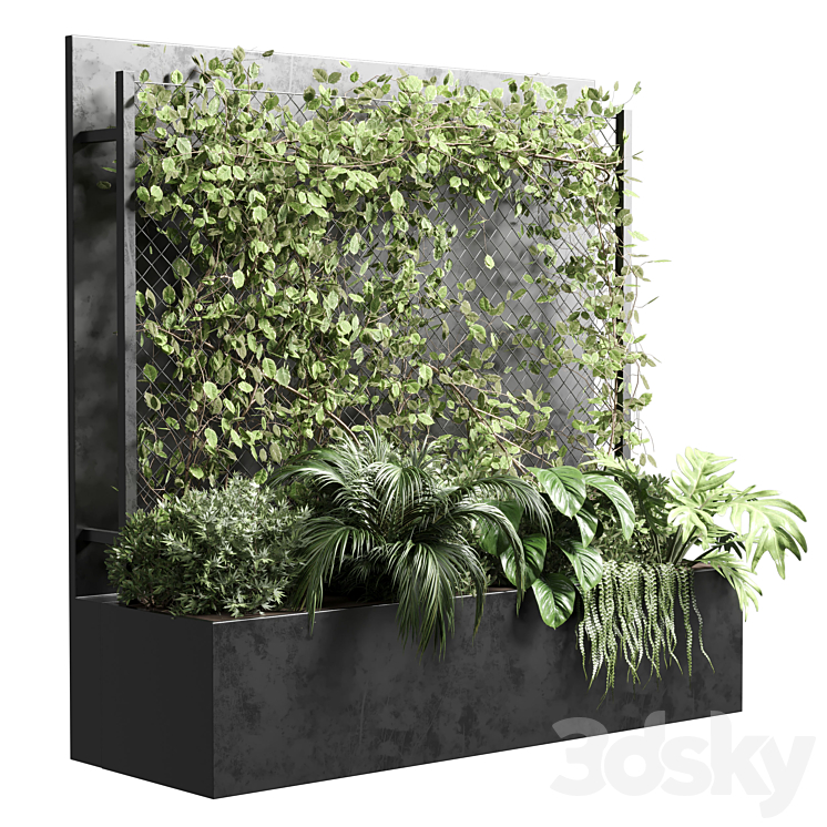 Ivy on Fence fitowall – vertical garden box 01 3DS Max Model - thumbnail 3