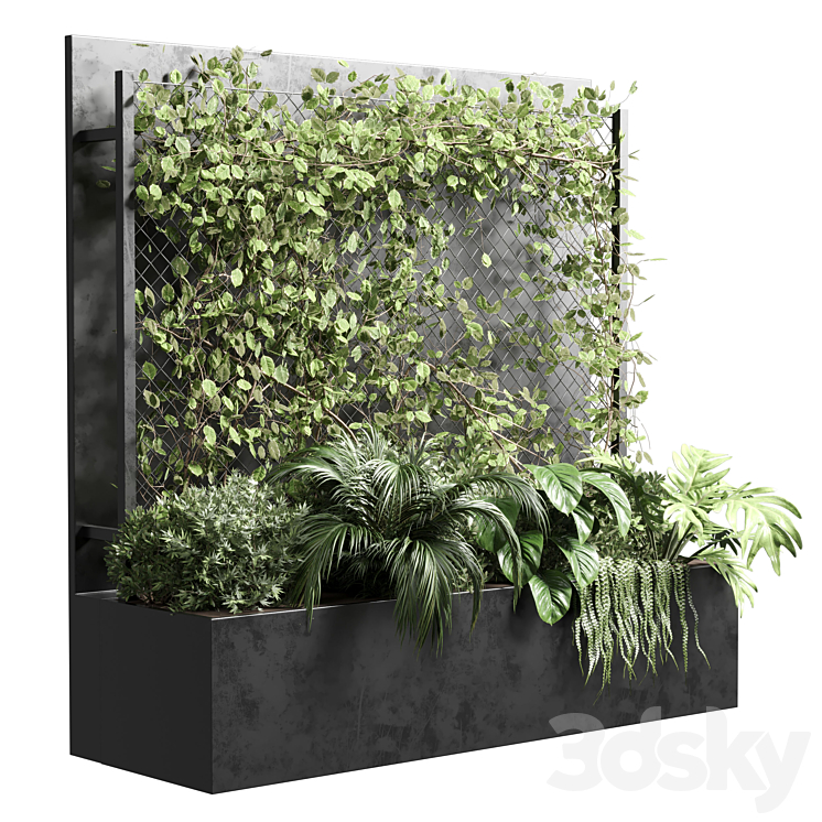 Ivy on Fence fitowall – vertical garden box 01 3DS Max - thumbnail 1