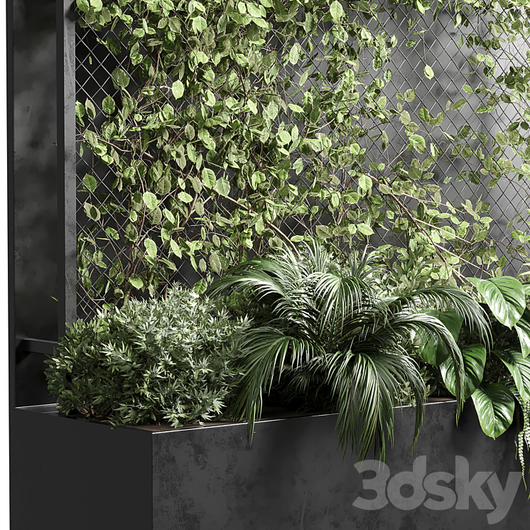 Ivy on Fence fitowall – vertical garden box 01 3DS Max - thumbnail 2