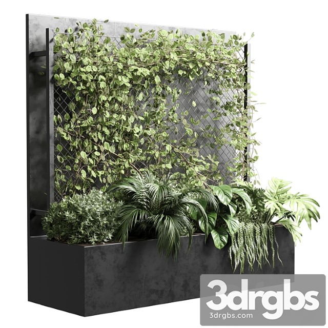 Ivy on Fence Fitowall Vertical Garden Box 01 3dsmax Download - thumbnail 1