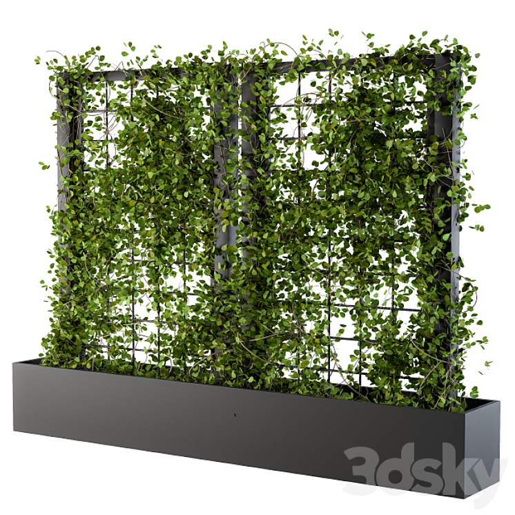 Ivy on grid 2 3DS Max - thumbnail 1