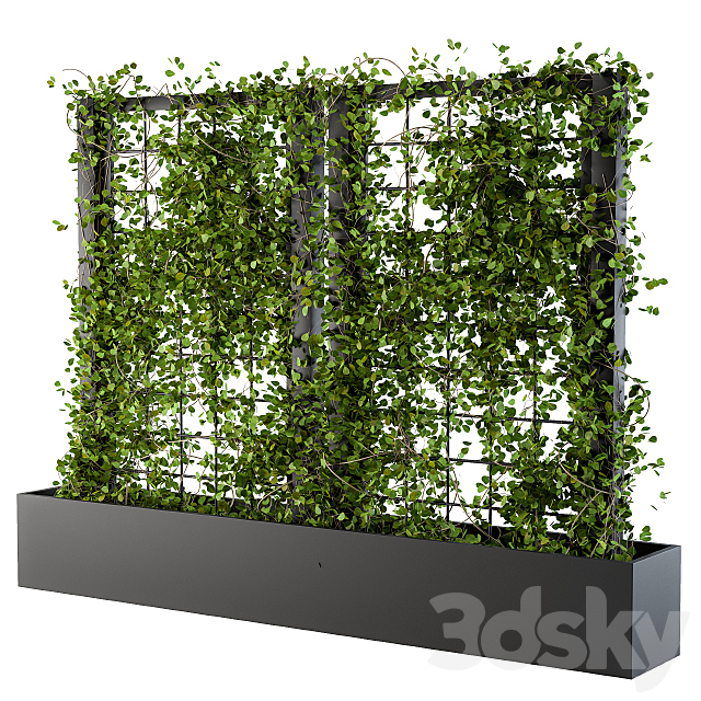 Ivy on grid 2 3DSMax File - thumbnail 1