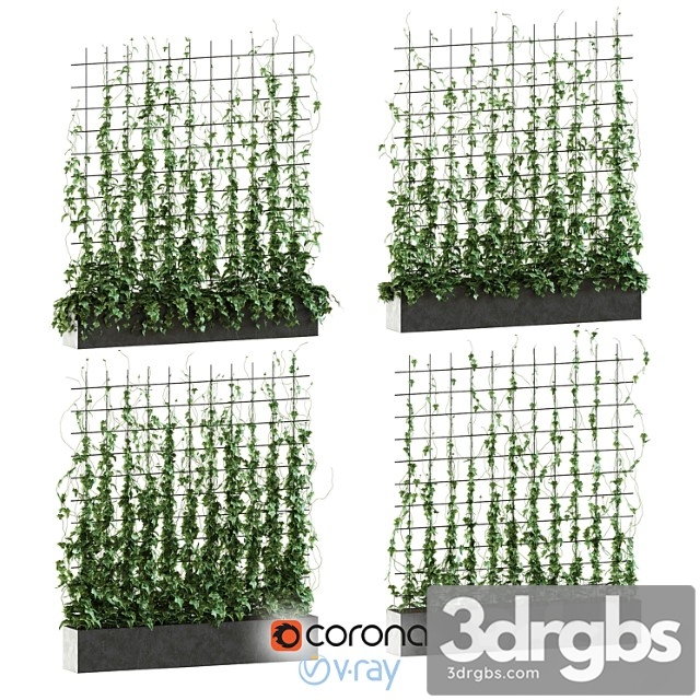 Ivy on The Grid 3dsmax Download - thumbnail 1