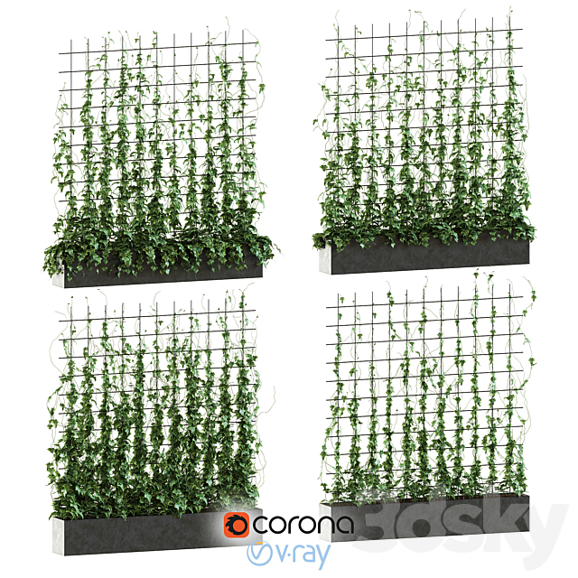 Ivy on the grid 3DSMax File - thumbnail 1