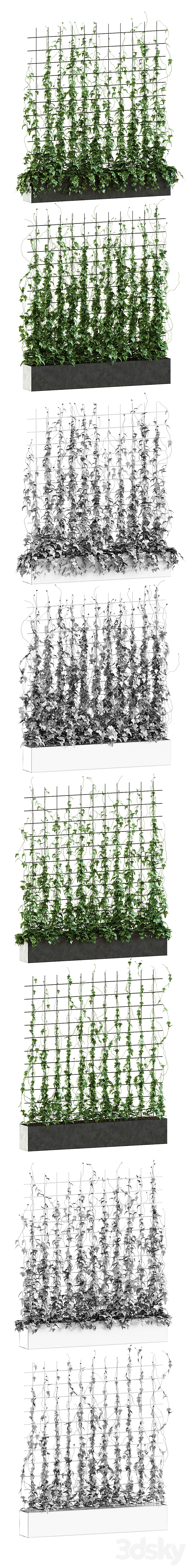 Ivy on the grid 3DSMax File - thumbnail 2