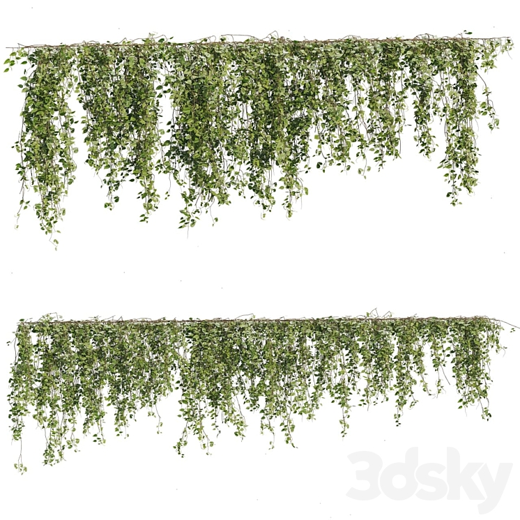 Ivy Plants 05 3DS Max Model - thumbnail 3
