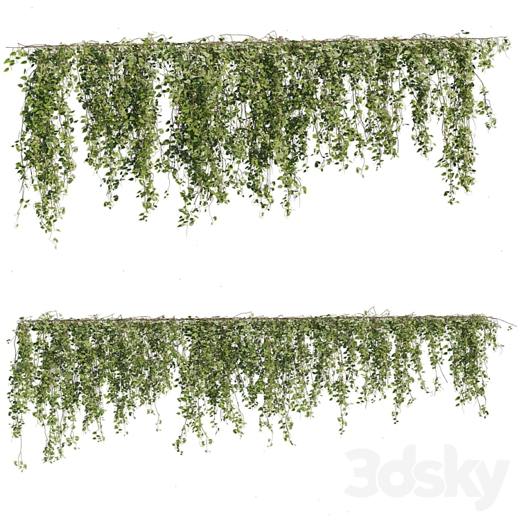 Ivy Plants 05 3DS Max - thumbnail 1