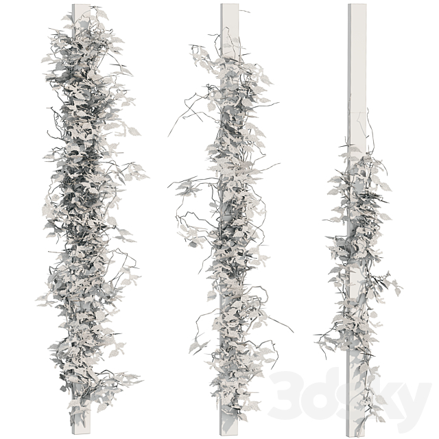 Ivy Plants 16 3ds Max - thumbnail 2