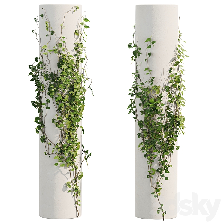 Ivy Plants 3DS Max Model - thumbnail 2