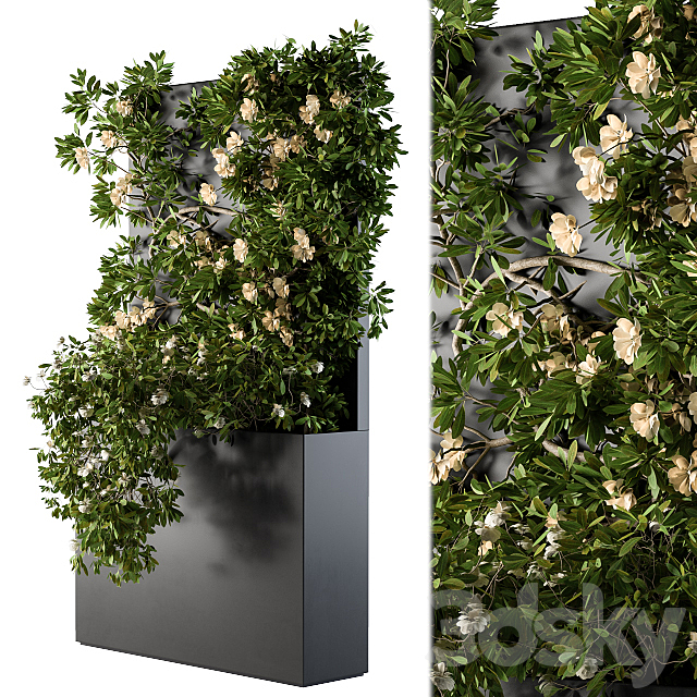 Ivy Plants Box with Flower 02 3ds Max - thumbnail 1