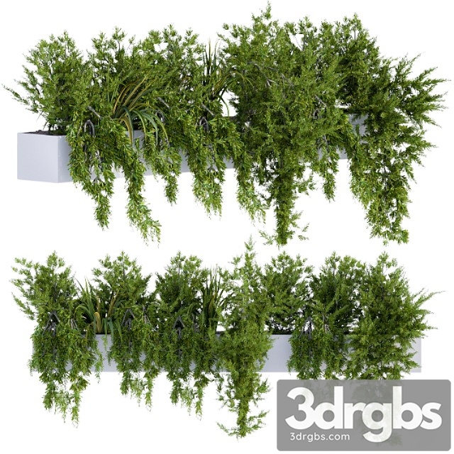 Ivy Plants In Box 3dsmax Download - thumbnail 1