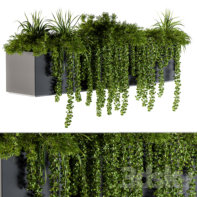 ivy plants in box – Outdoor Set 62 3DS Max Model - thumbnail 2