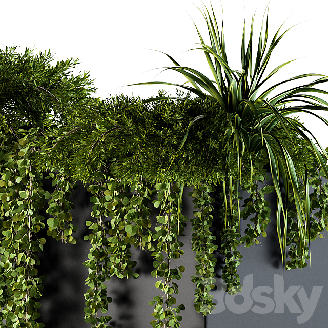 ivy plants in box – Outdoor Set 62 3DS Max Model - thumbnail 4