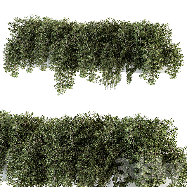 ivy plants in box – Outdoor Set 80 3DSMax File - thumbnail 2