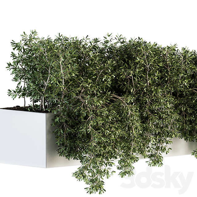 ivy plants in box – Outdoor Set 80 3DSMax File - thumbnail 4