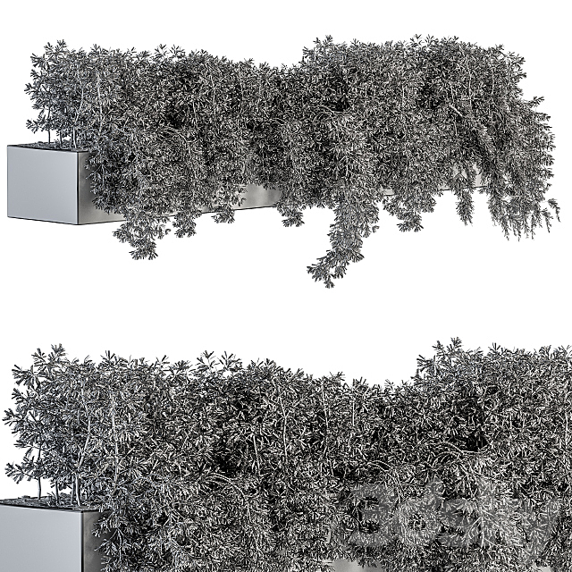 ivy plants in box – Outdoor Set 80 3DSMax File - thumbnail 5