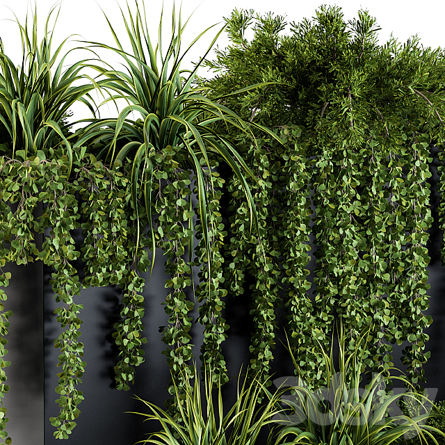 ivy plants in box – Set 61 3DS Max Model - thumbnail 3