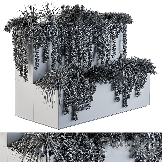 ivy plants in box – Set 61 3DS Max Model - thumbnail 4