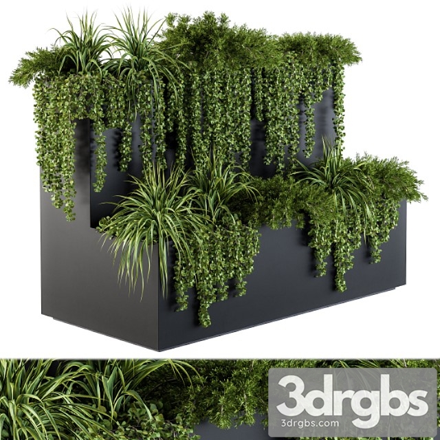 Ivy Plants In Box Set 61 3dsmax Download - thumbnail 1