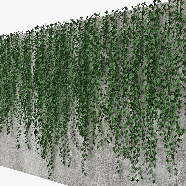 Ivy wall 09 3DS Max Model - thumbnail 2