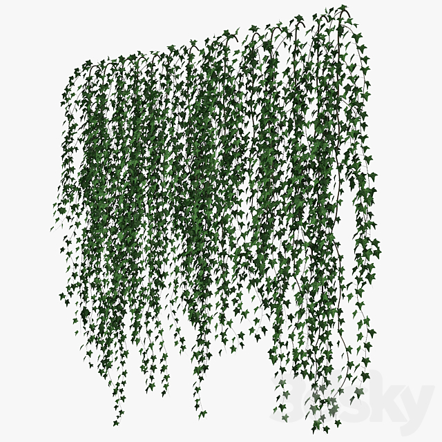 Ivy wall 09 3DS Max Model - thumbnail 3