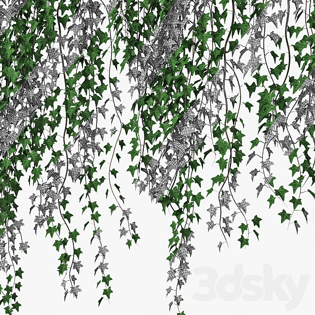 Ivy wall 09 3DS Max Model - thumbnail 5