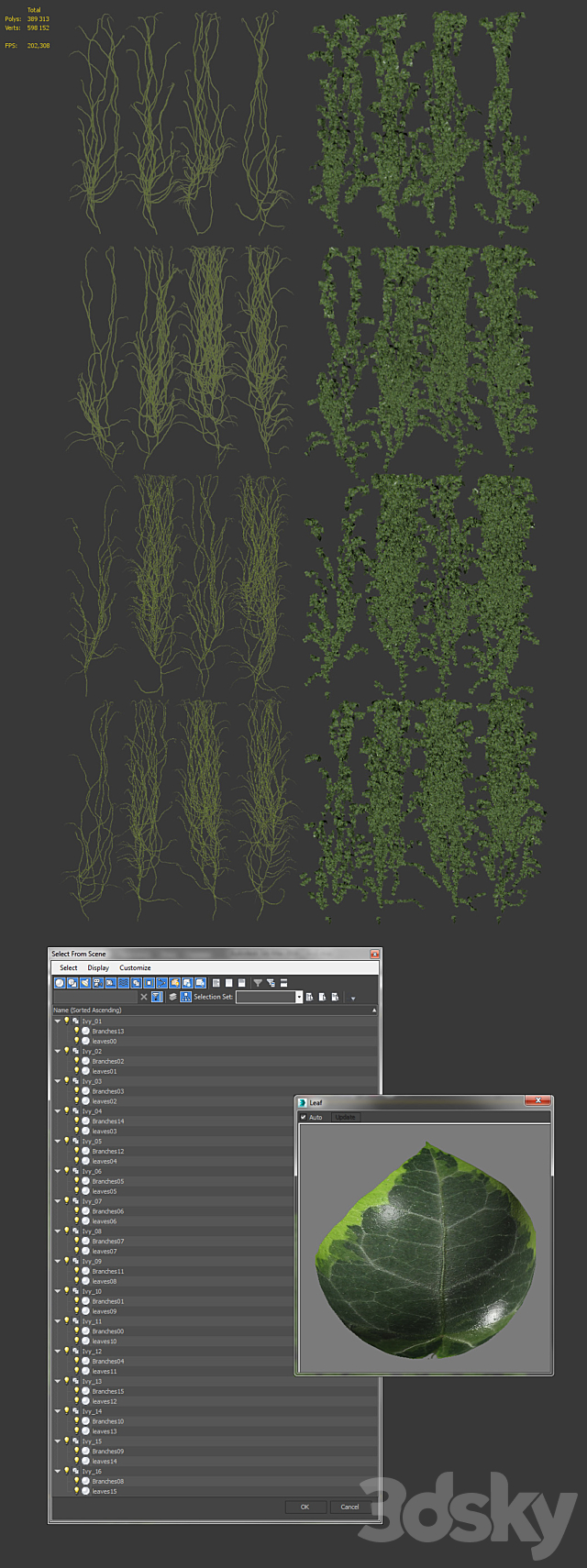 Ivy wall. 16 species 3DS Max Model - thumbnail 3