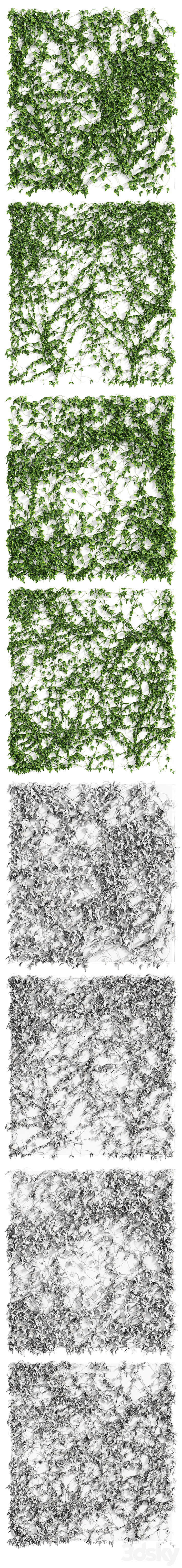 Ivy Wall 4 models 3DS Max - thumbnail 2