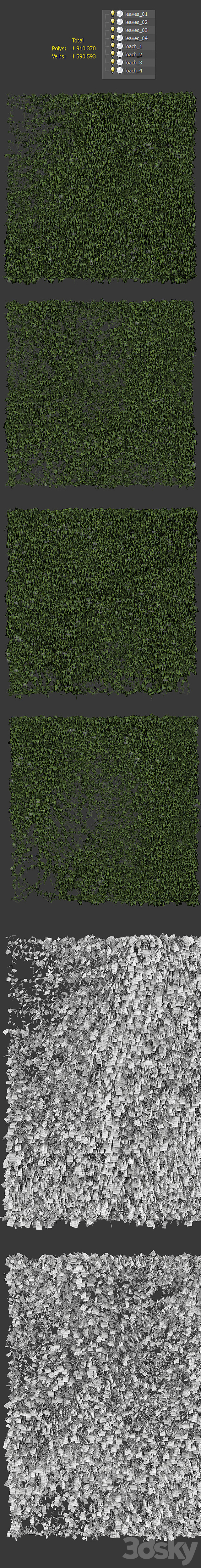 Ivy Wall. 4 models. v3 3DS Max Model - thumbnail 3