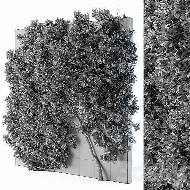 Ivy wall plants 02 3DSMax File - thumbnail 2