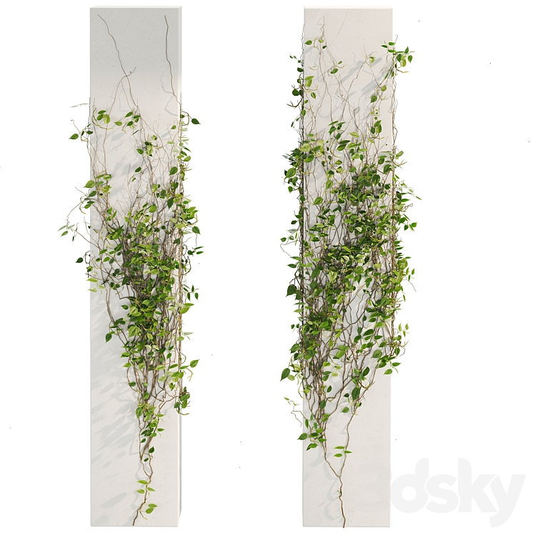 Ivy_Plants_01 3DS Max - thumbnail 2