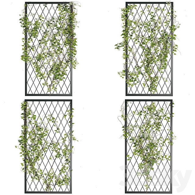 Ivy_Plants_04 3ds Max - thumbnail 1