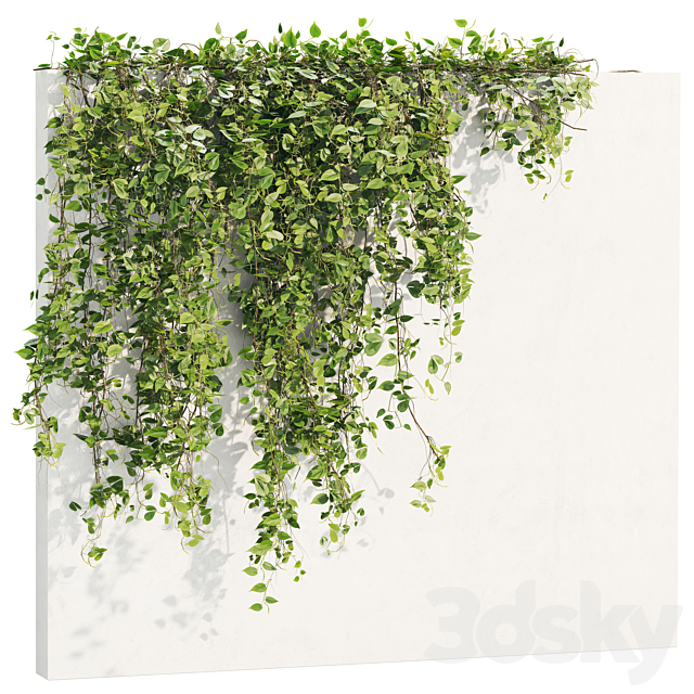 Ivy_Plants_18 3ds Max - thumbnail 1