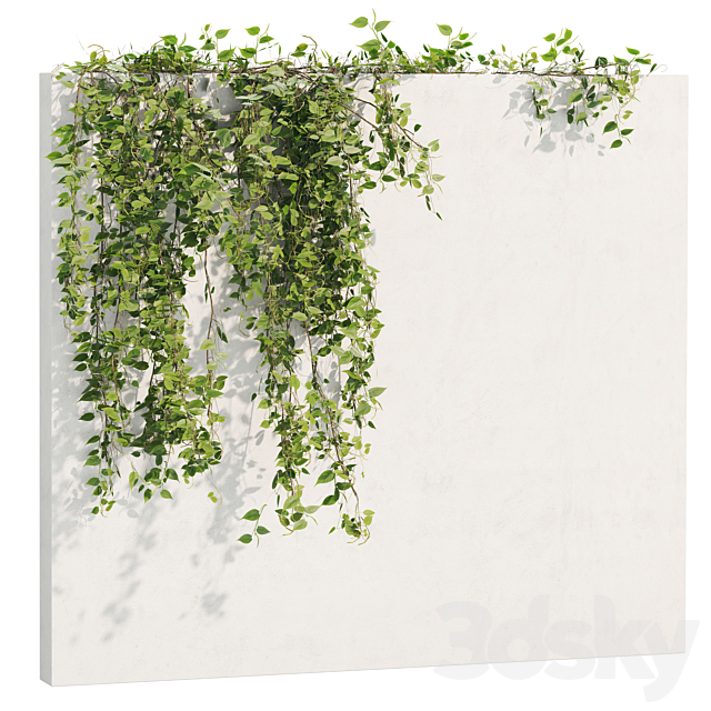 Ivy_Plants_18 3ds Max - thumbnail 2