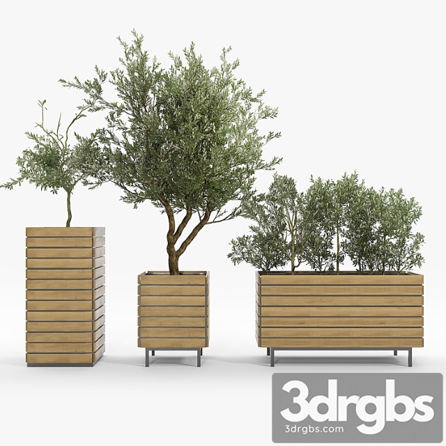 Jasper Rectangle Planter Olea Europaea 3dsmax Download - thumbnail 1