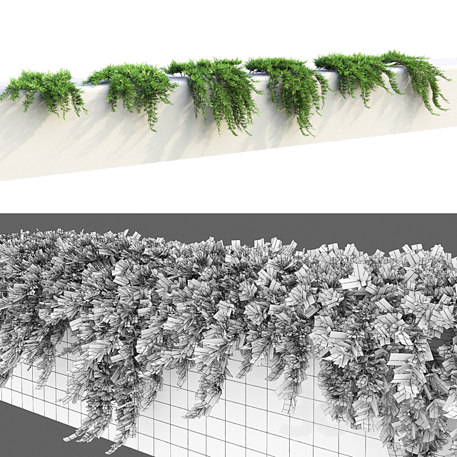 Juniper on retaining wall | Juniperus creeping # 1 3ds Max - thumbnail 3