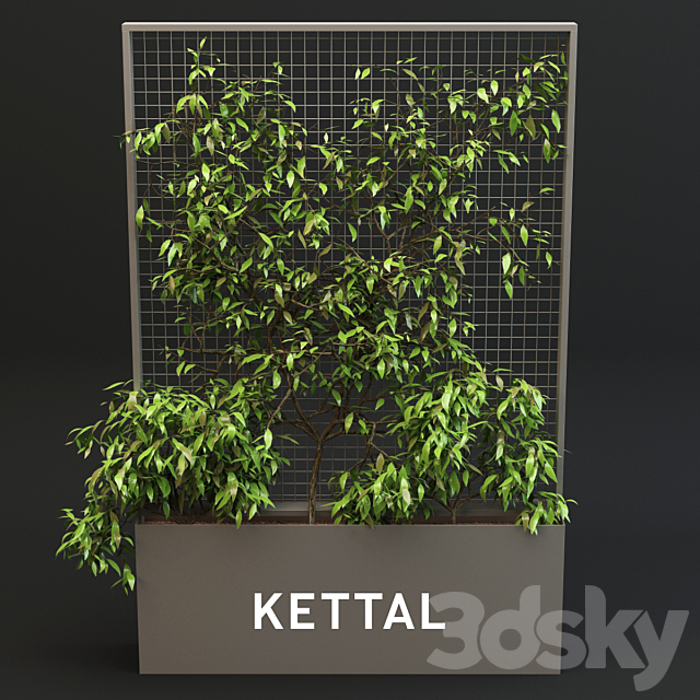 Kettal Pavilion XL Planter With Plants 3DS Max Model - thumbnail 2