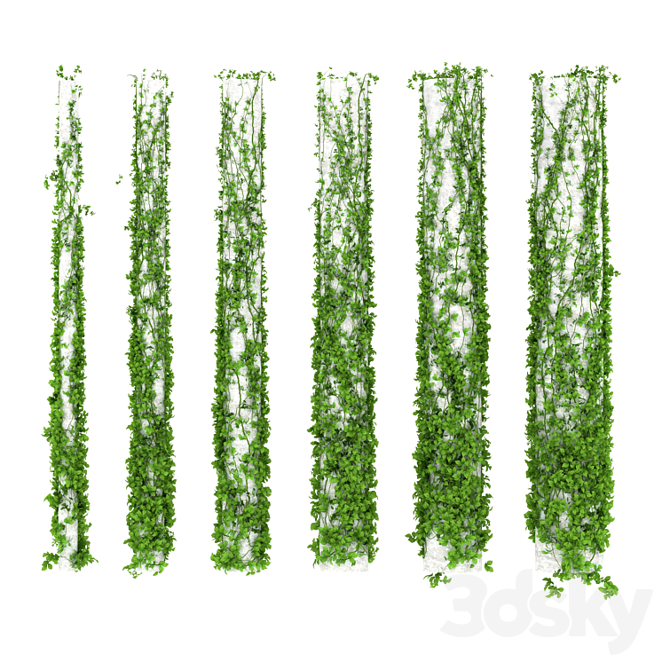 Leaves for columns. 6 sizes 3DS Max - thumbnail 1